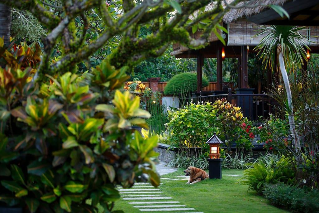 Villa L'Orange Bali Keramas Room photo
